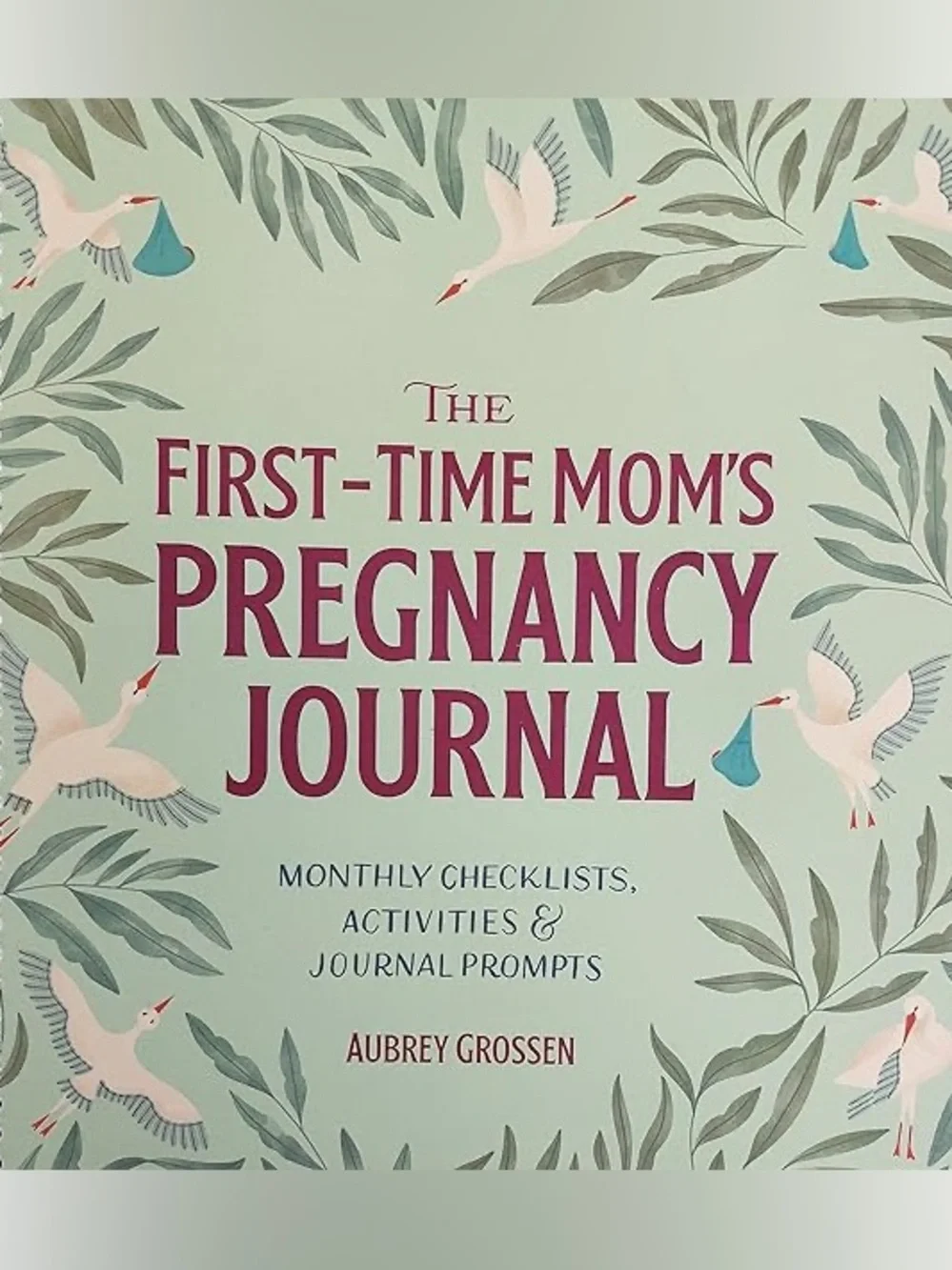 First time mom’s pregnancy baby announcement journal